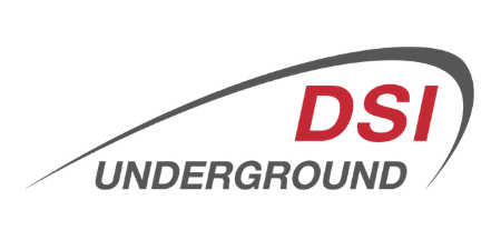 DSI Underground logo