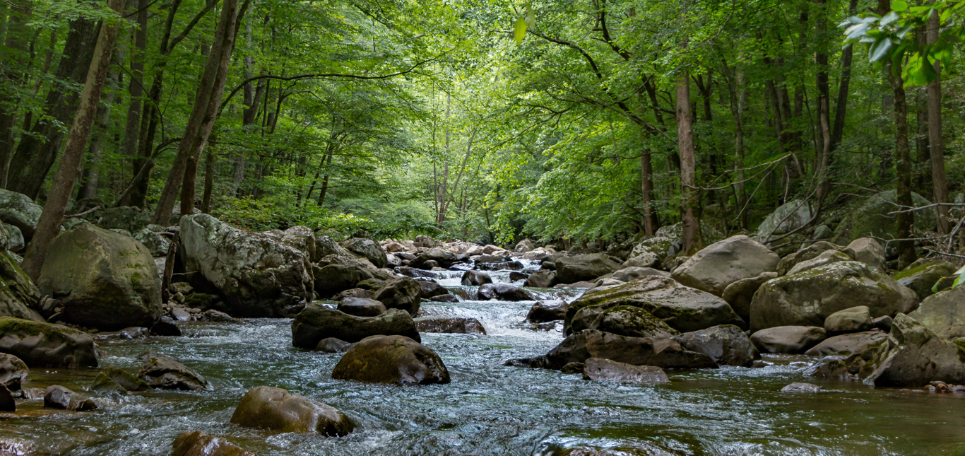 Triton releases 2022 2023 Responsible Investment Report